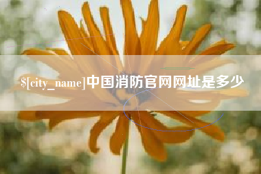 简阳中国消防官网网址是多少