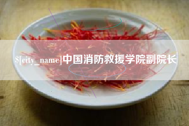 简阳中国消防救援学院副院长