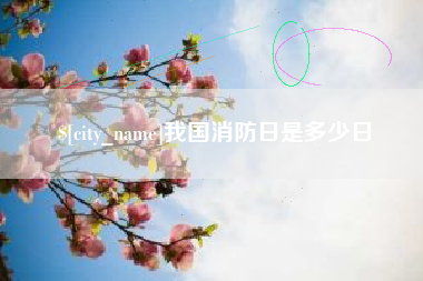 简阳我国消防日是多少日