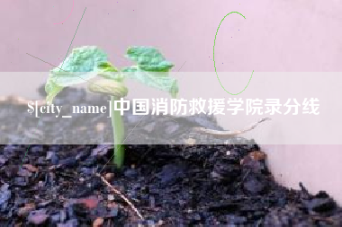简阳中国消防救援学院录分线