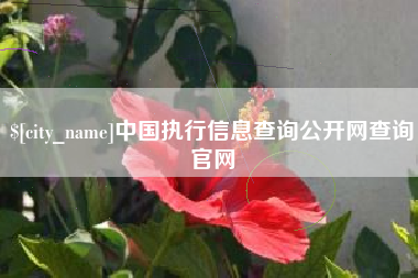简阳中国执行信息查询公开网查询官网