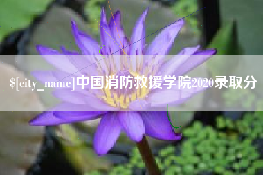 简阳中国消防救援学院2020录取分