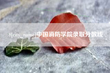 简阳中国消防学院录取分数线