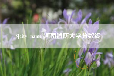 简阳河南消防大学分数线