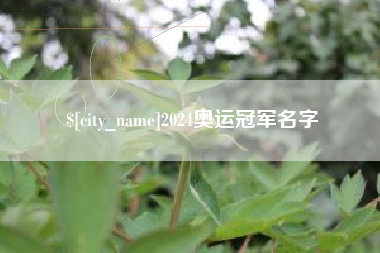 简阳2024奥运冠军名字