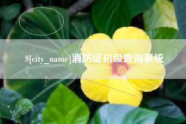 简阳消防证初级查询系统