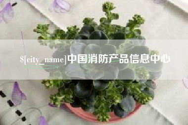 简阳中国消防产品信息中心
