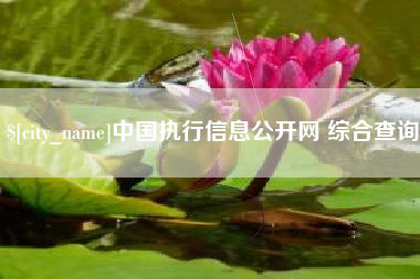 简阳中国执行信息公开网 综合查询