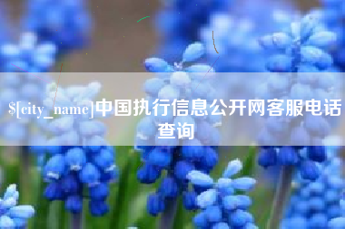 简阳中国执行信息公开网客服电话查询
