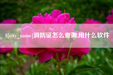 简阳消防证怎么查询,用什么软件