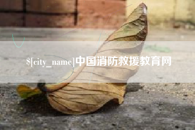 简阳中国消防救援教育网