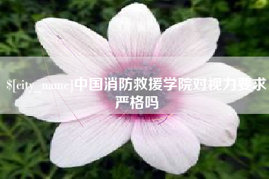简阳中国消防救援学院对视力要求严格吗