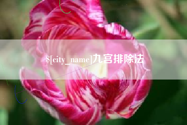 简阳九宫排除法