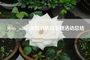 简阳全国消防日主题活动总结