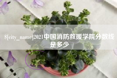 简阳2021中国消防救援学院分数线是多少