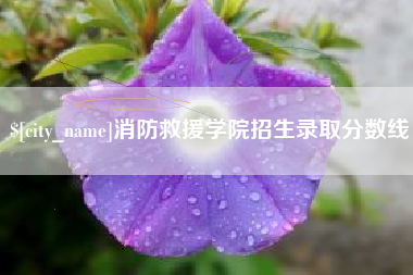 简阳消防救援学院招生录取分数线