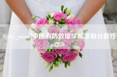 简阳中国消防救援学院录取分数线2020
