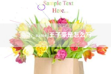 简阳王子豪是怎么写