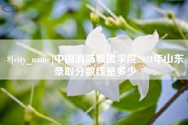 简阳中国消防救援学院2021年山东录取分数线是多少
