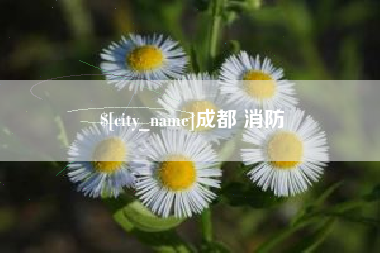 简阳成都 消防