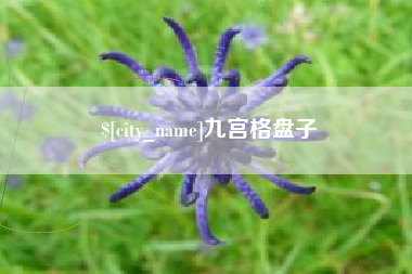 简阳九宫格盘子