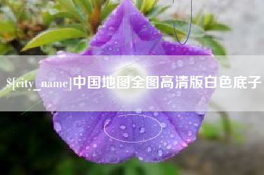 简阳中国地图全图高清版白色底子