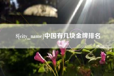 简阳中国有几块金牌排名
