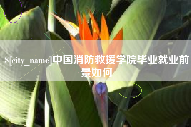 简阳中国消防救援学院毕业就业前景如何