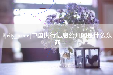 简阳中国执行信息公开网是什么东西