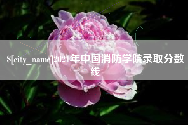 简阳2021年中国消防学院录取分数线