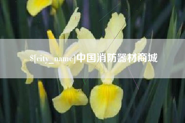 简阳中国消防器材商城