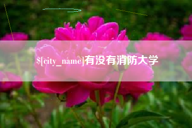 简阳有没有消防大学