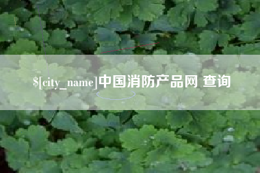 简阳中国消防产品网 查询