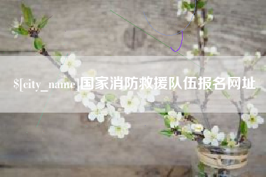 简阳国家消防救援队伍报名网址