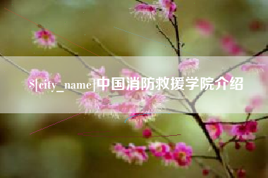简阳中国消防救援学院介绍