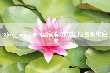 简阳2020国家消防救援报名系统官网
