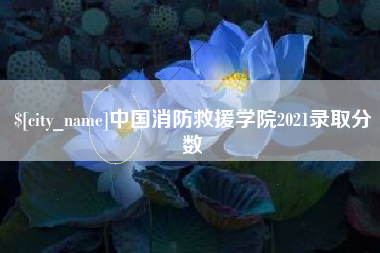简阳中国消防救援学院2021录取分数