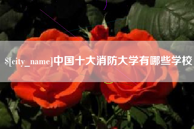 简阳中国十大消防大学有哪些学校