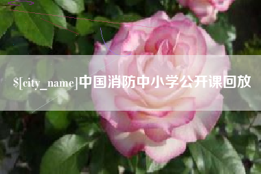 简阳中国消防中小学公开课回放