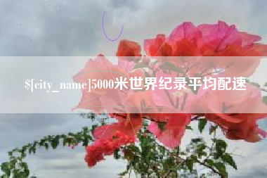 简阳5000米世界纪录平均配速
