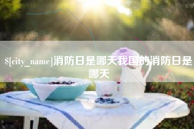 简阳消防日是哪天我国的消防日是哪天