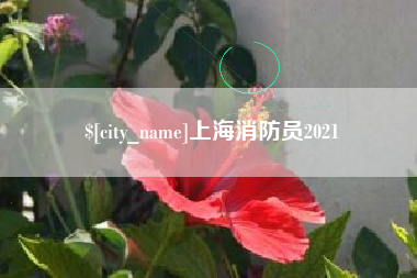 简阳上海消防员2021