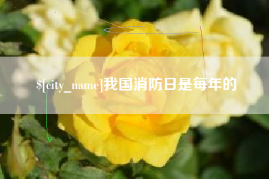 简阳我国消防日是每年的