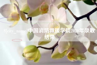 简阳中国消防救援学院2020年录取结果
