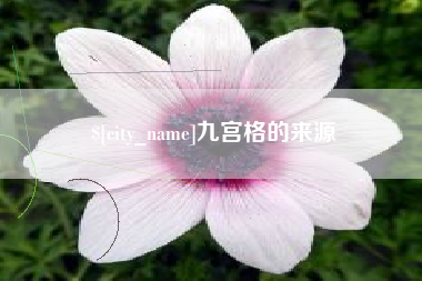 简阳九宫格的来源