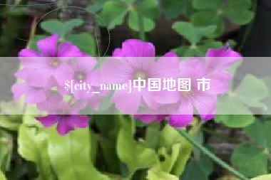 简阳中国地图 市