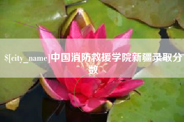 简阳中国消防救援学院新疆录取分数