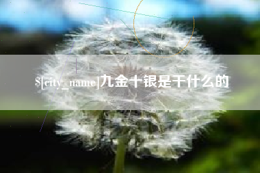 简阳九金十银是干什么的