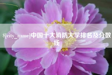 简阳中国十大消防大学排名及分数线