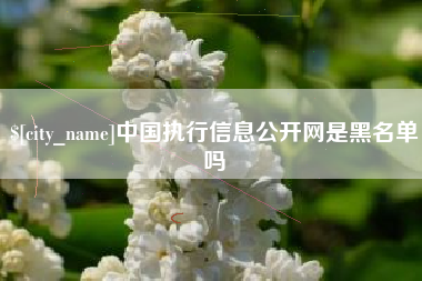 简阳中国执行信息公开网是黑名单吗